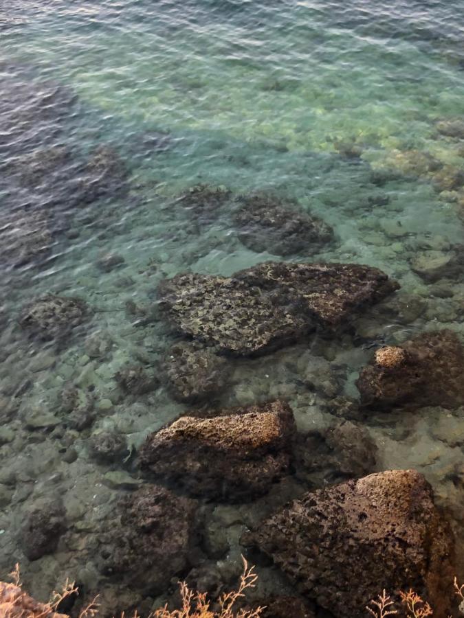 Casa Vacanze Antiche Mura E Poi モノーポリ エクステリア 写真